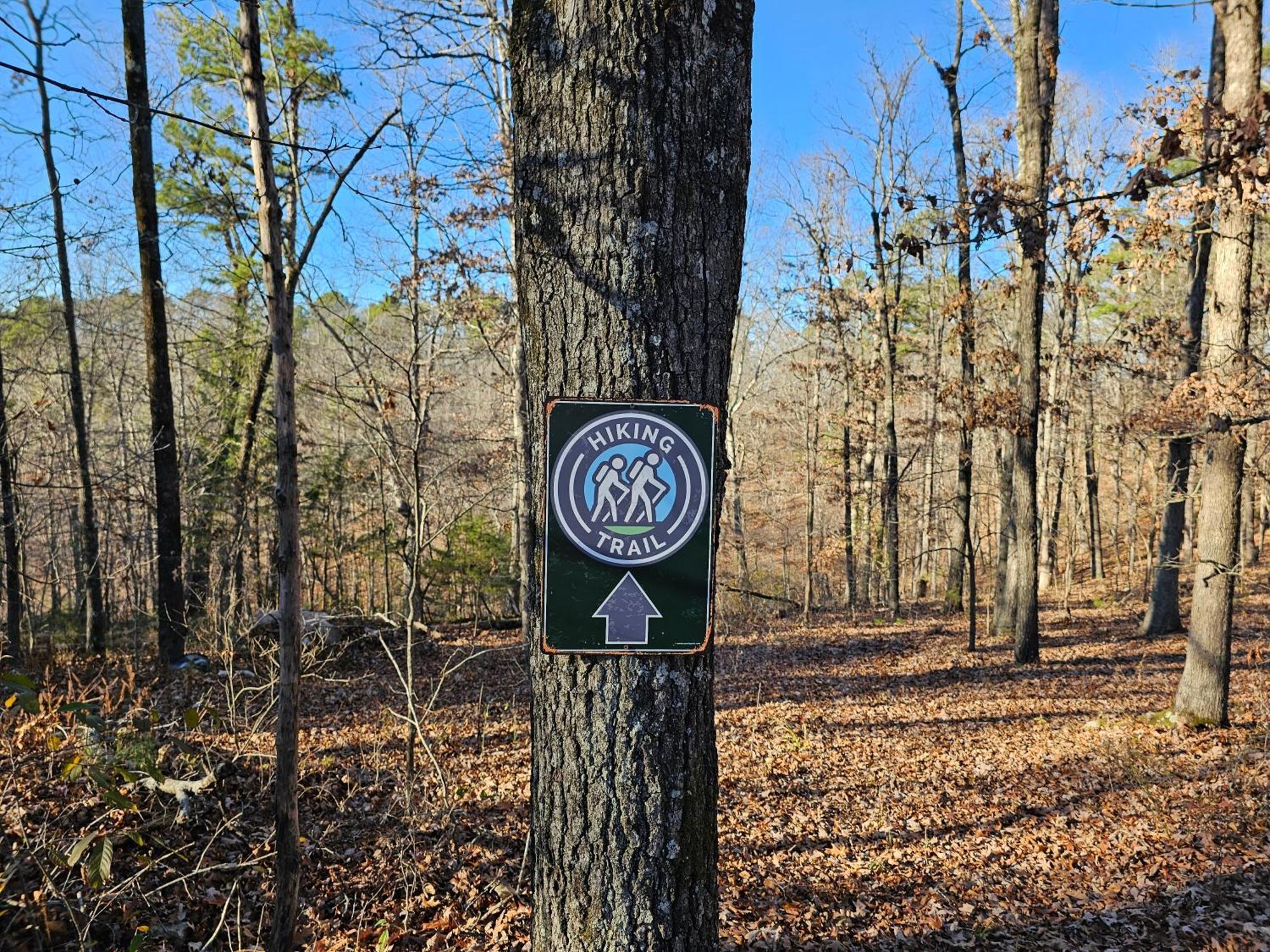 5 Min To Beaver Lake-King Bed-Fire Pit-Jetted Tub #5 유레카 스프링스 외부 사진